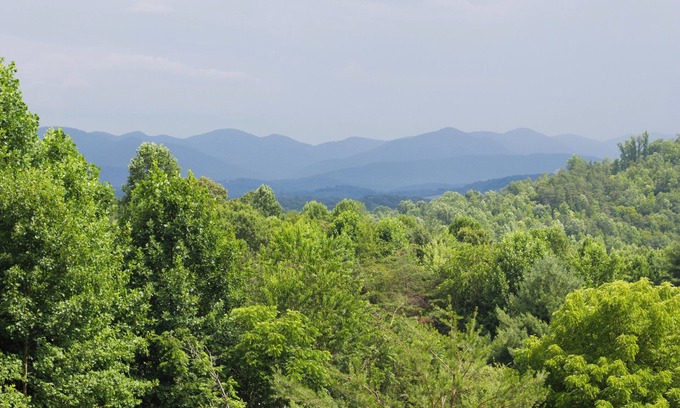 Candler House | Amazing Views! Updated, warm & cozy ranch. Fully fenced in yard. Dogs Ok!