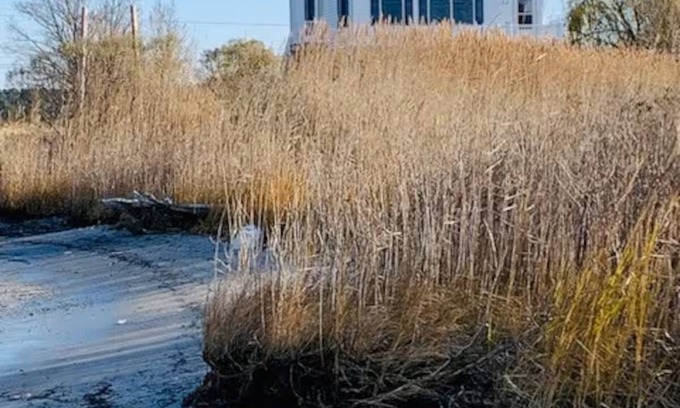 Madison House | Amazing views waterfront 3-bedroom home in Madison