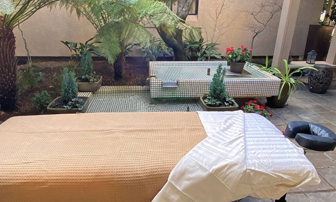 Sonoma Villa | Amazing Villa, 50' Pool, Gorgeous Garden, Views