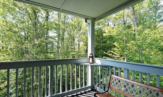 Davis Condo | Amazingly affordable lodging in the center of Canaan Valley!