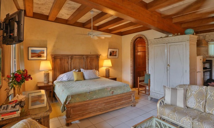 Estate Enighed Apartment | Amore Loft Suite - in the Heart of Cruz Bay!