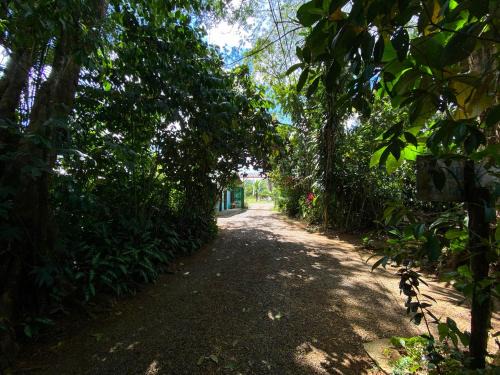 Puerto Viejo de Sarapiqui Bed & Breakfast | Andrea Cristina