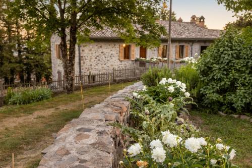 Radicofani House | Animrus