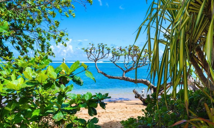 Kilauea House | Anini Ohana Hale TVNC#4255