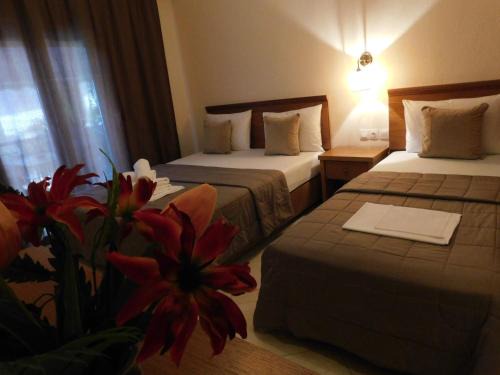 Sarti House | Anna house 1