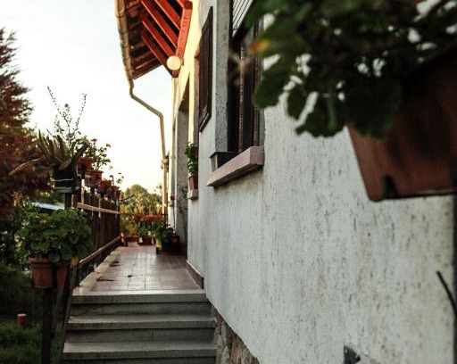 Telki House | Anna Hunor