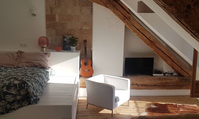 Annecy Old Town Apartment | Annecy, loft attic, old town, 3mns from the lake, balcony