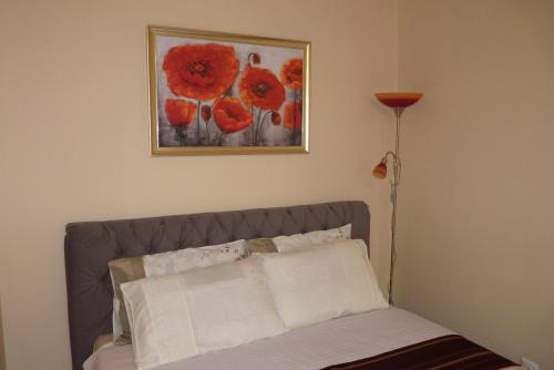 Zamosc Apartment | Apartament Planty