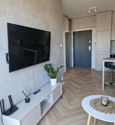Srodmiescie Apartment | Apartament Pomorska 107A