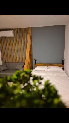 Timisoara Apartment | Apartament Raul