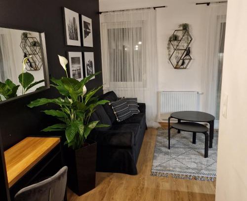 Pniewy Apartment | Apartament Studio