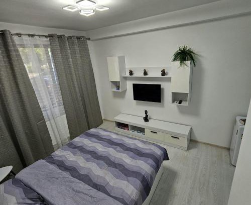 Arad Apartment | Apartament UTA