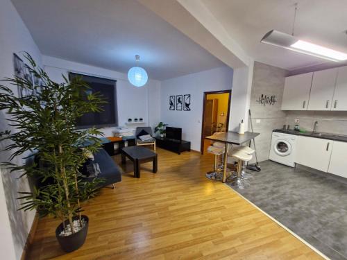Toledo City Center Apartment | Apartamento Centro de Toledo
