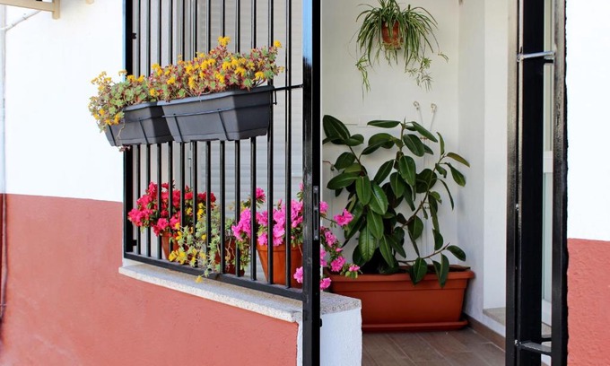 Los Pinos Apartment | Apartamento turístico la Vera