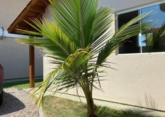 Campeche Leste Apartment | Apartamento Loft na Praia do Campeche!