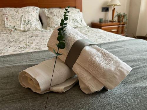 Villaviciosa Apartment | Apartamento Miranda
