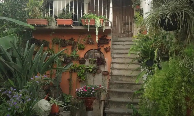 San Salvador Apartment | Apartamento rusticon