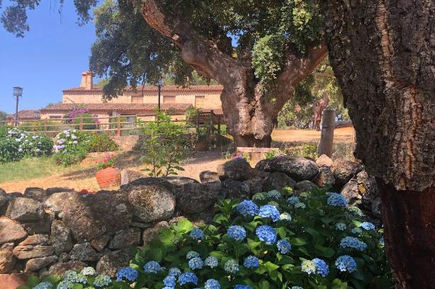 Valencia de Alcantara Apartment | Apartamentos Rurales La Macera ****