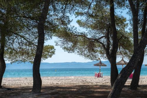 Alcudia Apartment | Apartamentos Ferrer Lime Playa de Alcudia