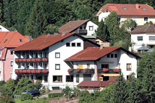 Bad Wildbad Apartment | Aparthotel Schwarzwald Panorama