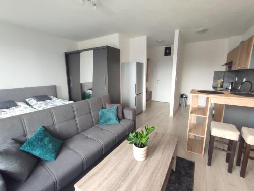 Brezno Apartment | Apartmán Alžbetka