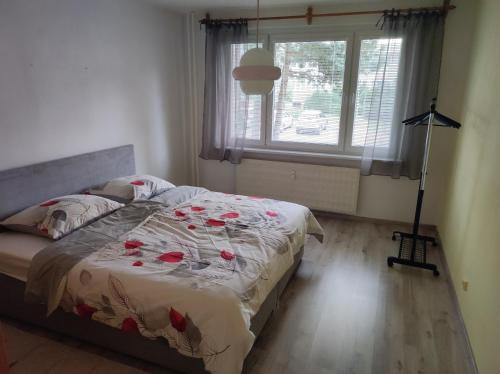 Zvolen Apartment | Apartmán City