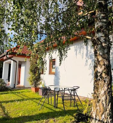Orech Apartment | Apartmán se zahradou 20 minut do centra Prahy