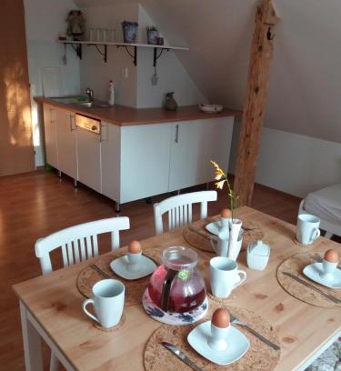 Frydek-Mistek House | Apartmány F-M