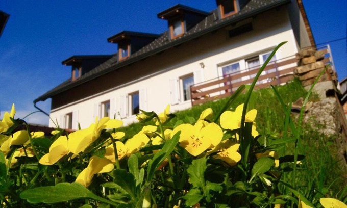 Bled House | Apartmaji Pri Kokolu