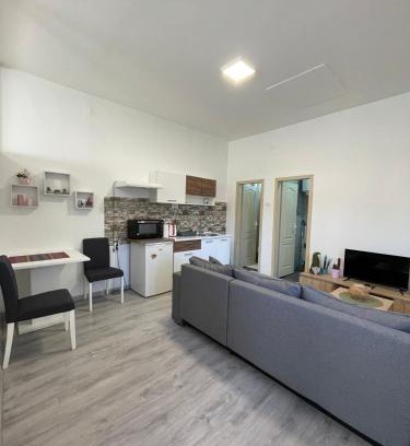 Kikinda Apartment | Apartman Arthur