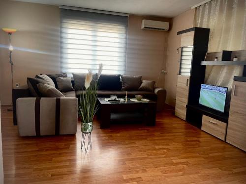 Pozarevac Apartment | Apartman kuća Rajkovic