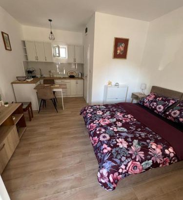 Banja Koviljaca Apartment | Apartman Milinkovic