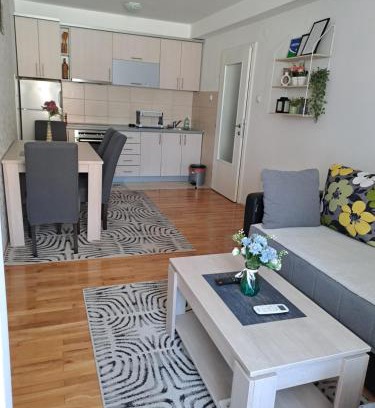 Milici Apartment | Apartman Park