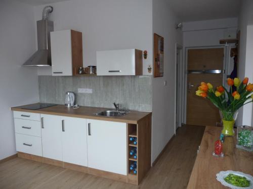 Sokolov Apartment | Apartman Q11
