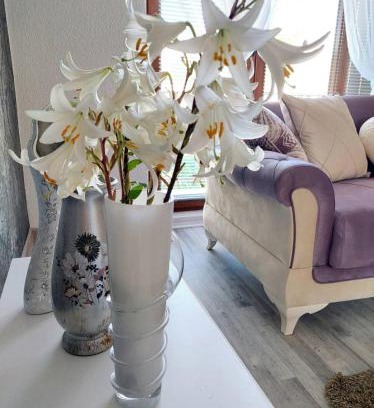 Bihac Apartment | Apartman STARI GRAD