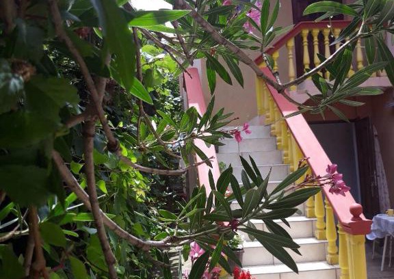 Sutomore Apartment | Apartman Tatjana