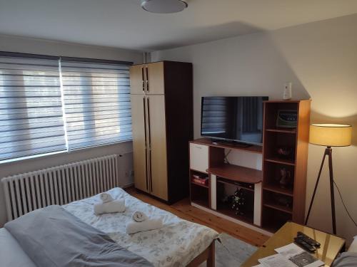 Pale Apartment | Apartman Toljaga Pale
