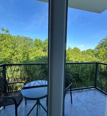 Surcin Apartment | Apartman Viktor
