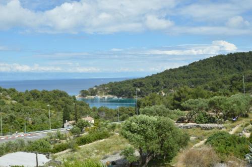 Cove Murtar Apartment | Apartmani Raić