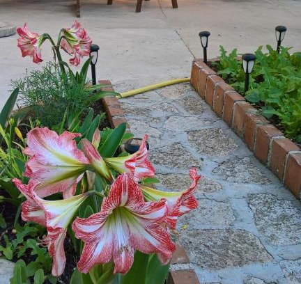 Nerezine House | Apartmani Rukonić Aleksandar