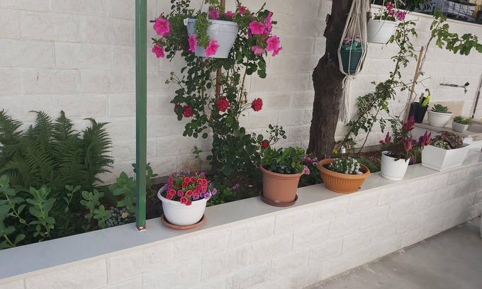 Hvar Old Town House | Apartmani Teo