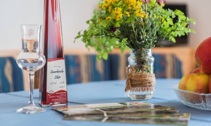 Bad Peterstal-Griesbach Apartment | Apartment '3' with Mountain View, Shared Terrace and Wi-Fi