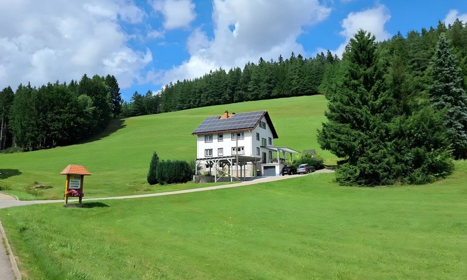 Schonach im Schwarzwald Apartment | Apartment 'Kienzler's Zeitwerk' with Private Terrace and Wi-Fi