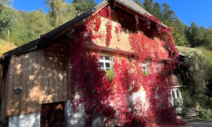 Triberg im Schwarzwald Apartment | Apartment 'Auszeit' with Private Terrace and Wi-Fi