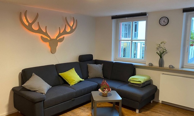 Waldshut-Tiengen Apartment | Apartment, 50sqm, 1 bedroom, max. 2 people