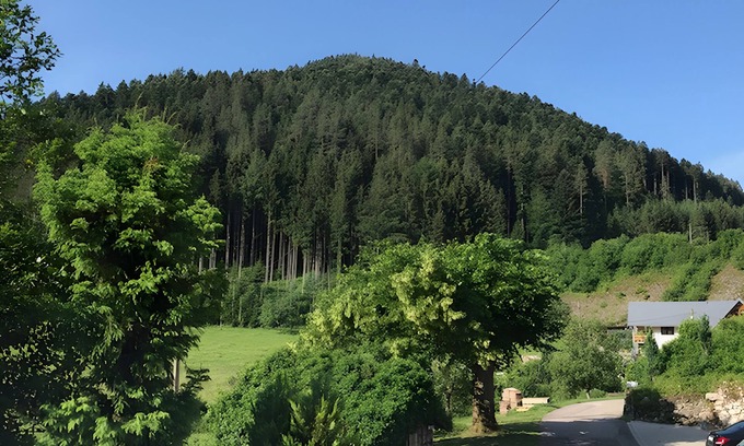 Hornberg Apartment | Apartment '80 sqm' with Mountain View, Private Terrace and Wi-Fi