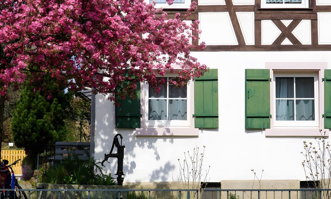 Lahr Apartment | Apartment 'Alte Schmiede' with Shared Terrace, Shared Garden and Wi-Fi