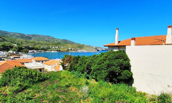 Paleopolis House | Apartment Andros - Lasia
