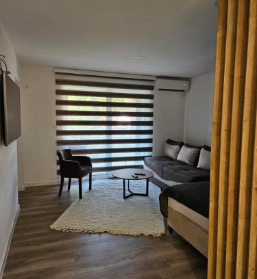 Donje Polje Apartment | Apartment Anita Cetinje 2
