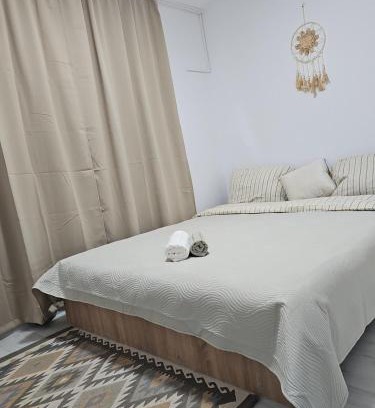 Arad Apartment | Apartment cu viziune, parcare publica fără plata, Self Non Stop check in